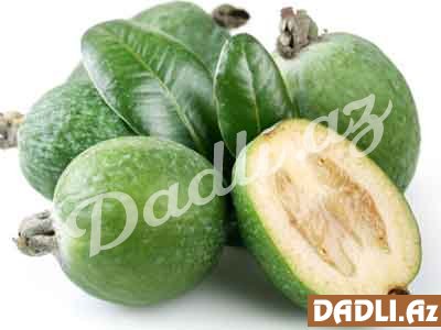 Feyxoa haqda bilmədiklərimiz