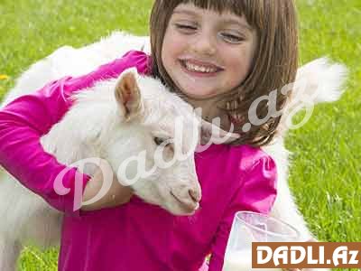 Ürək üçün xeyirli bitkilər