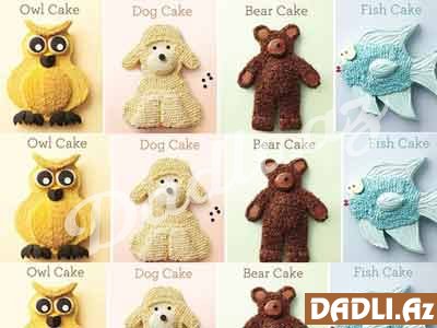 4 fərqli heyvan formalı tort hazırlama - FOTO DƏRS