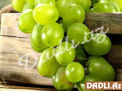 Üzüm-Vitis Viniferaz