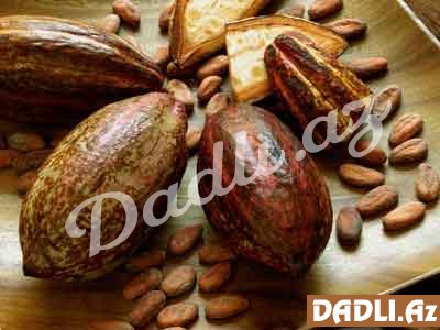 Kakao-Theobroma Cacao