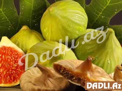 Əncir-Ficus Caricaz