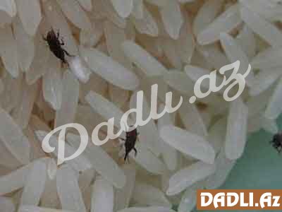 Yarmaları böcəklərdən qorumaq üçün...