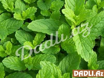 Nanənin möcüzəvi faydaları