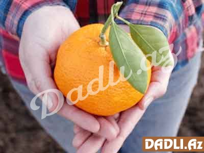 Qadın sağlamlığı üçün naringinin faydaları