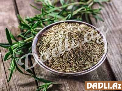 Bibəriyyə (rozmarin) nədir?