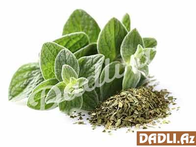 Qaraqınıq (oreqano) nədir?