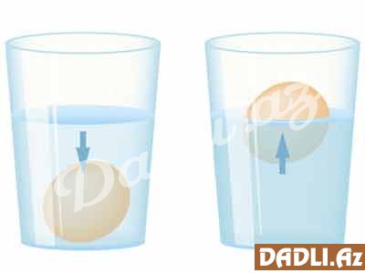 Yumurtan boyat olub olmadığını 1 stəkan su ilə anlaya bilərsiniz