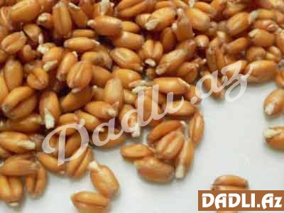 Cücərdilmiş buğdadan cavanlaşdılrıcı qarışıq