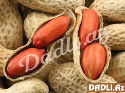 Ürəyin dostu araxis - Hər gün 1 ovuc