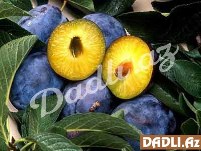 Göyəm - gözlər və damarlar üçün faydalı meyvə