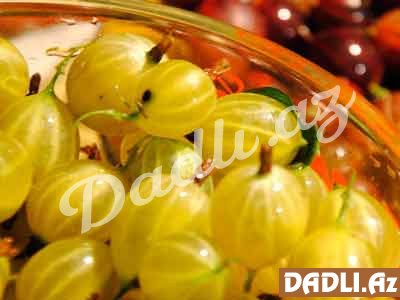 Motmotu nə ilə faydalıdır?