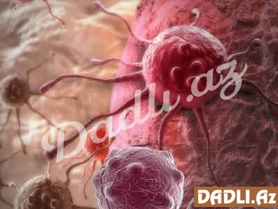 Bizi qocalıqdan və xərçəngdən qoruyan bitkilər