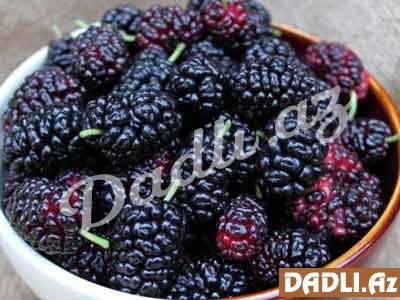 Ömrü uzadan giləmeyvə