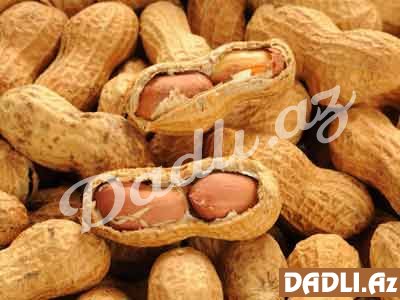 Yer fındığının arıqlamağa faydaları