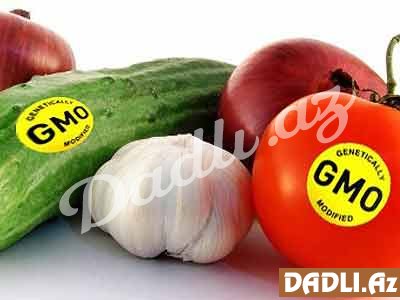 Ölkəmizə GMO məhsullar gətirilirmi?