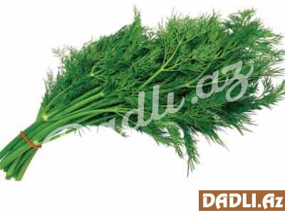 Şüyüdün müalicəvi xüsusiyyətləri